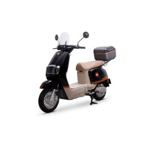 w=1200,h=1200,fit=pad
